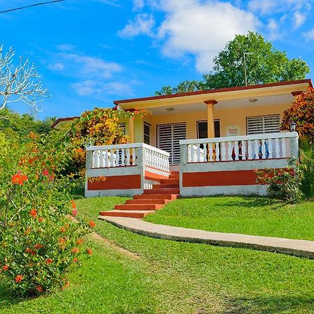 Casa Papito Y Dania Hostal Viñales Exterior foto